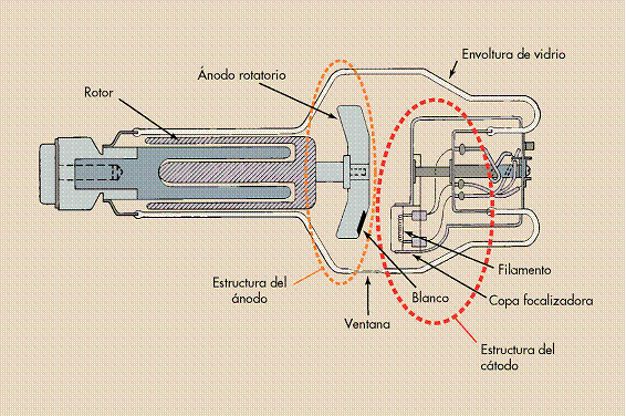 Schematic diagram of an X-ray tube with rotating anode